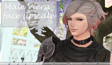 A makeup for male Viera face 4104. . Male viera face upscales